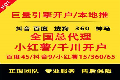 专业SEM服务公司案例分析报告